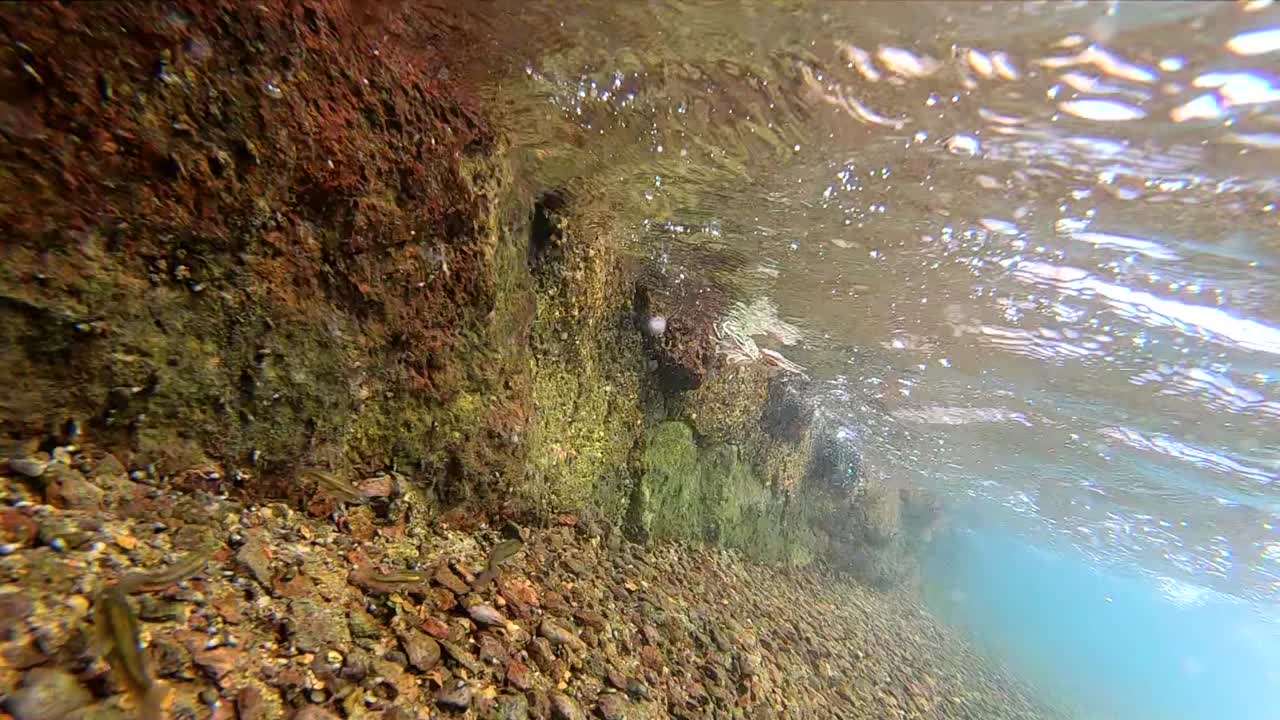 Waterfall series shot on a spring fed canal in western Texas. Series contains mostly slow motion scenes of a small waterfall including spectacular underwater footage with aquatic wildlife