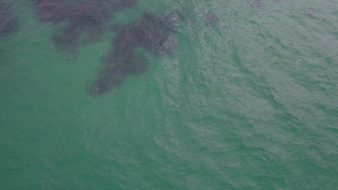 аэрофотосъемка смотровой площадки хастингс поинт возле пляжа куджера в твид шир, нсв, австралия