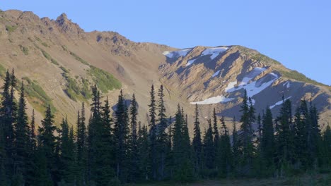 panorama of mountain range with forest in the foreground in summer