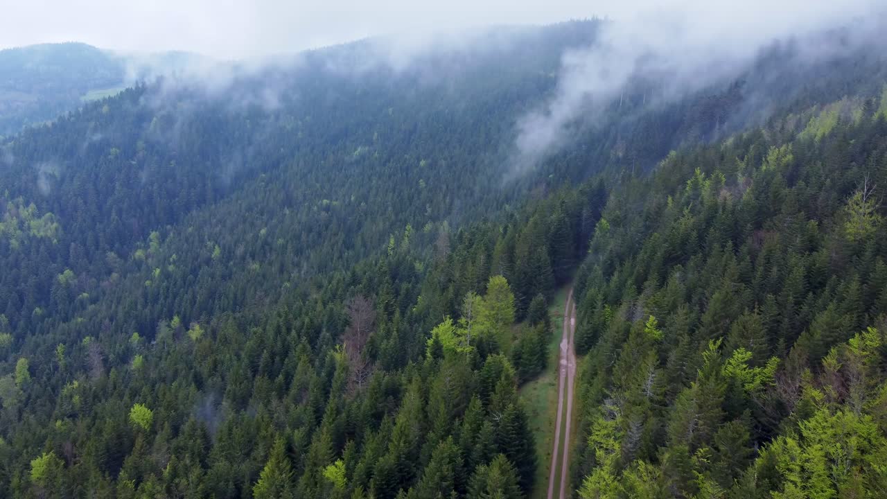 vista aérea del camino del bosque oscuro con un vehículo tractor de leñador sobre una montaña con nubes blancas malhumoradas en vosges, francia 4k