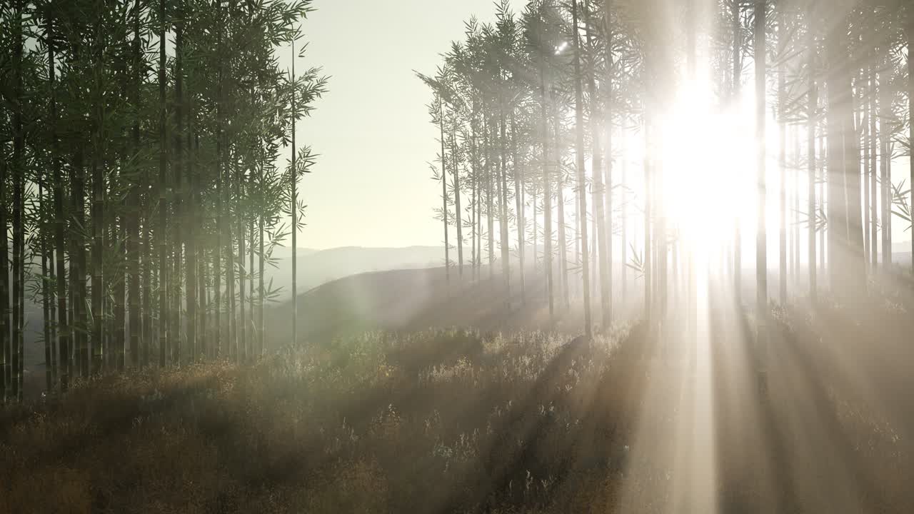 언덕 에 있는 초록색 대나무 숲