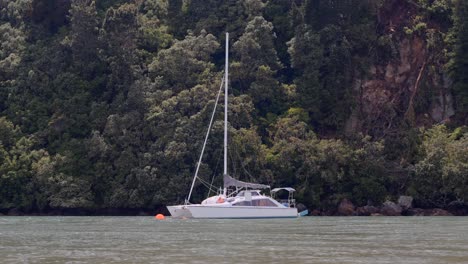 boat calmly sitting afloat along the banks of whangamata inlet