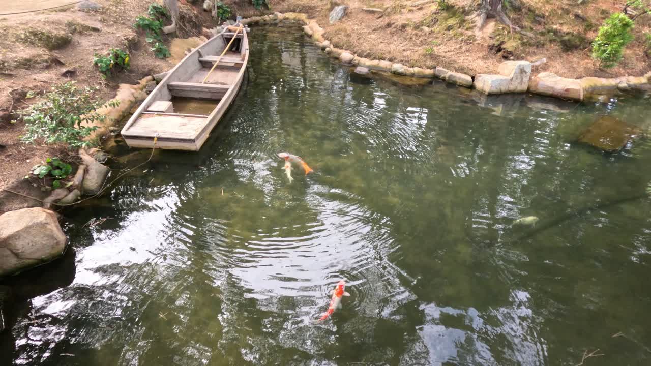 나무 배 와 물고기 들 이 있는 조용 한 강 장면