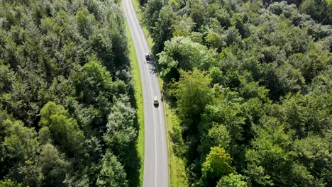 Luftaufnahme-Einer-Asphaltierten-Landstraße-Im-Wald