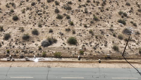 Schafherde-Entlang-Einer-Mojave-Wüstenstraße---Luftaufnahme