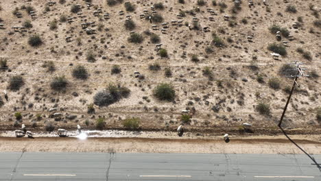 rebaño de ovejas a lo largo de un camino del desierto de mojave - aérea