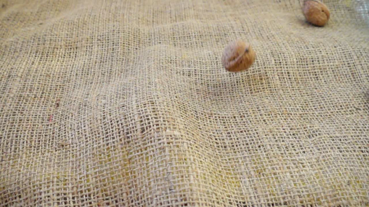 Valnødder falder på sækkelærred. Slowmotion