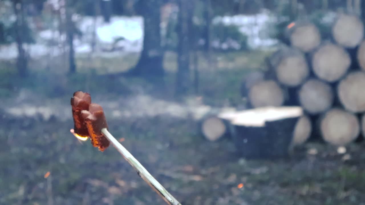 Close up of sausages or hotdogs on a stick being grilled on a fire with smoke and orange golden embers flying around in slow motion. Large cut timber, trees, snow and mossy ground seen in background.