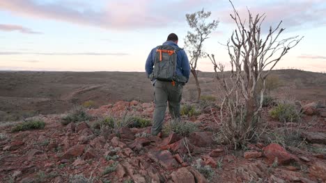 Hombre-Caminando,-Plantas-Del-Desierto-En-Flor,-Interior-De-Australia