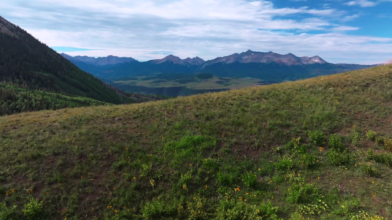 Last Dollar Road Telluride Colorado Rocky ski resort Mountains town summer aerial drone vista landscape Lizard Head Aspen tree forest grove sheep grazing farm land San Juan Range green grass forward