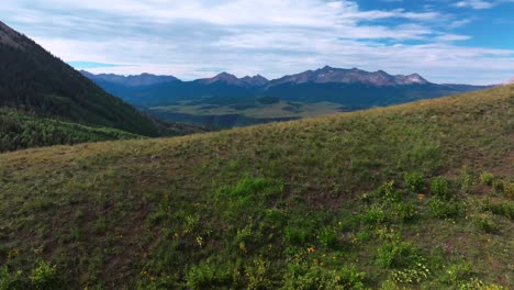 last dollar road telluride colorado rocky ski resort mountains town summer aerial drone vista landscape lizard head aspen tree forest grove sheep grazing farm land san juan range green grass forward