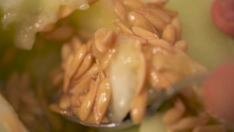 close-up of the seeds being cleaned out of a juicy, sweet honeydew melon