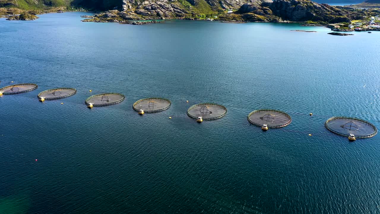 노르웨이에서 연어  ⁇ 시를 하는 공중 촬영