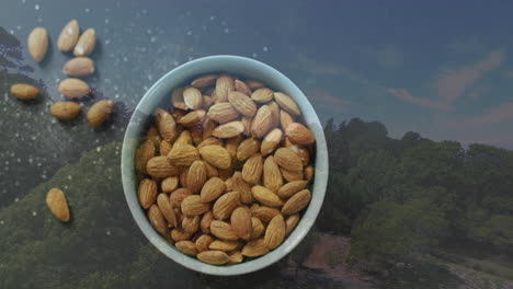Bowl of almonds with scenic landscape, trees, and blue sky in background