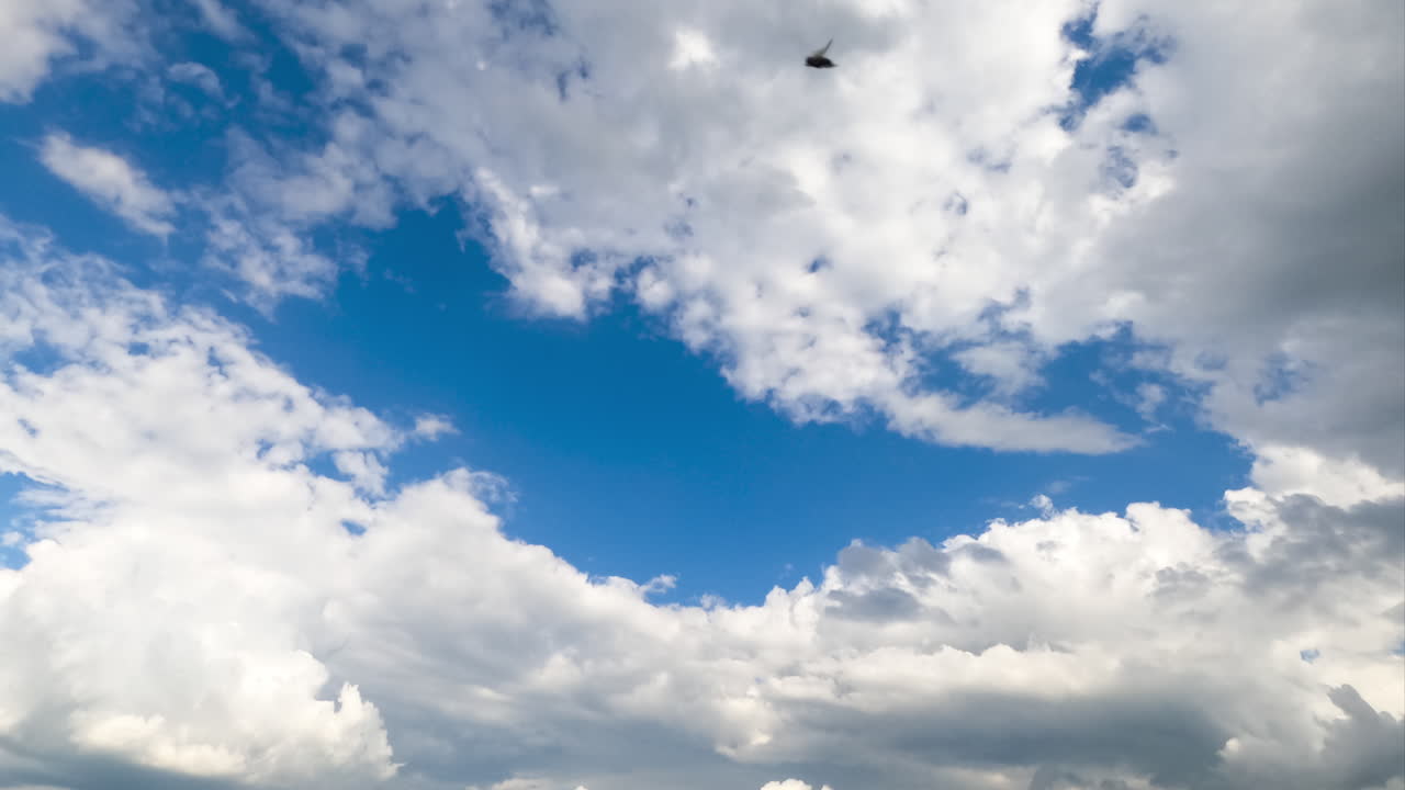 Heavenly beautiful cloudscape moving in the air. Fluffy white clouds in the rays of bright sun. Low angle timelapse.