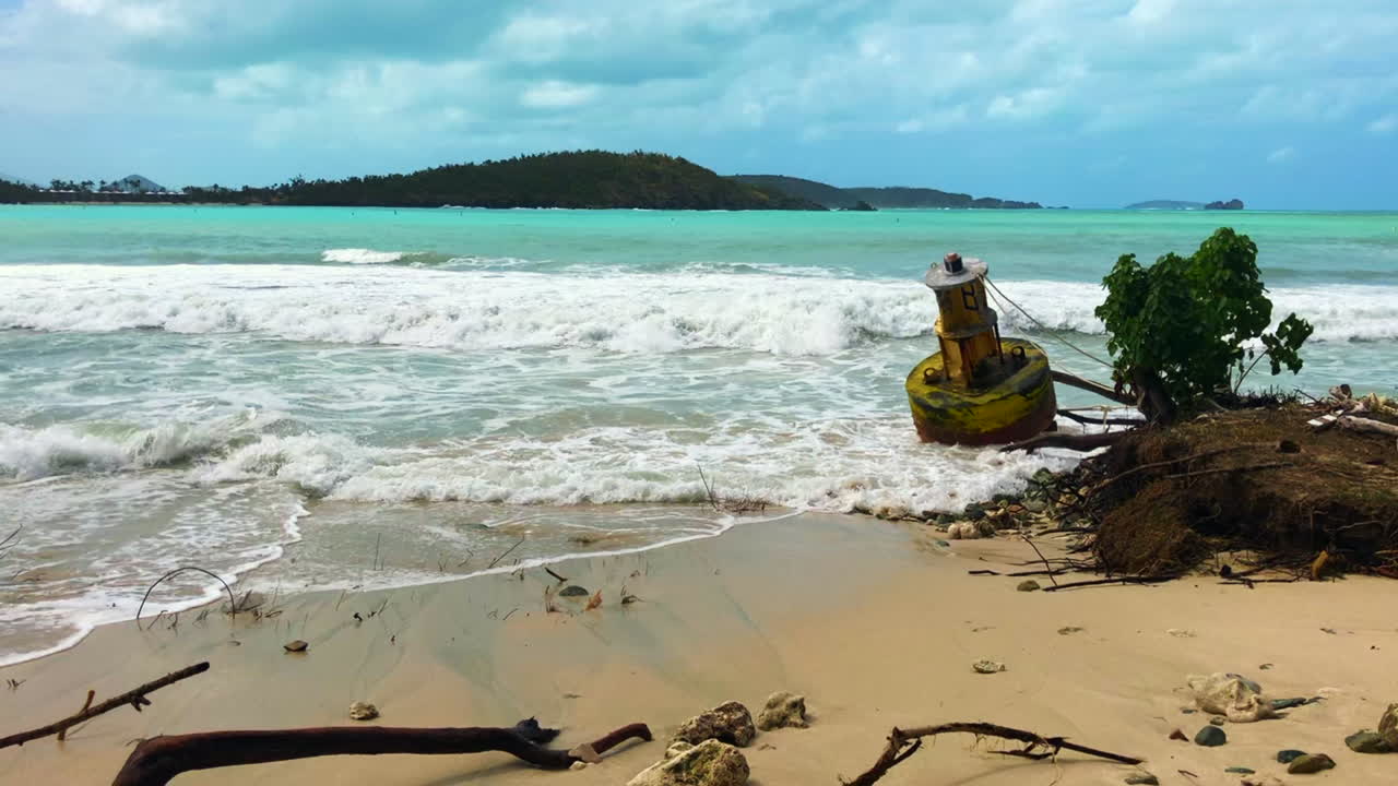 olas rodando en la playa de oppenheimer en st
