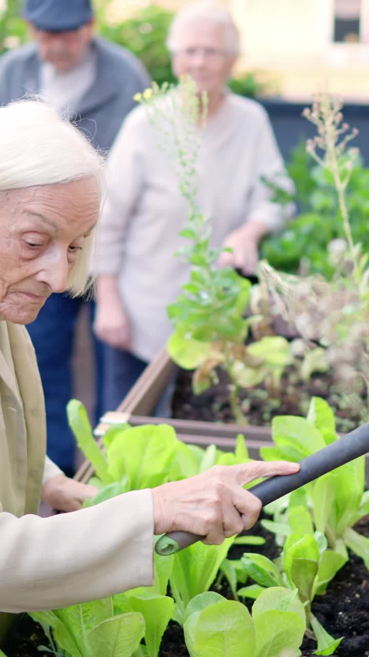 Senior Citizens Gardening