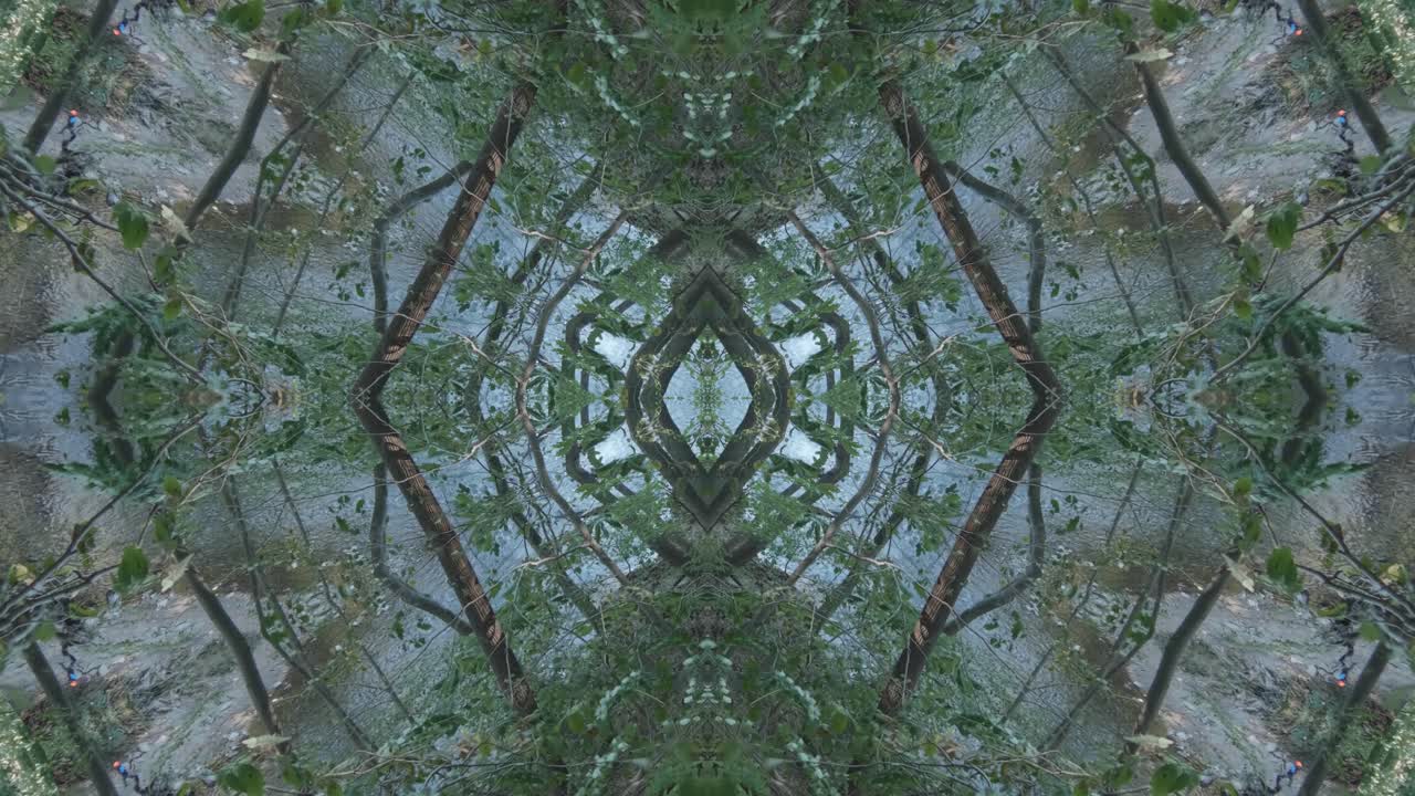 caleidoscopio de vegetación usando imágenes de bosque de wissahickon creek, philadelphia, #47