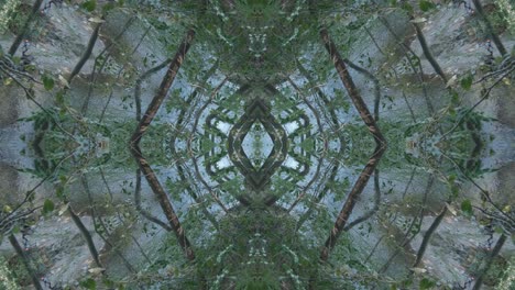 greenery kaleidoscope using forest imagery from wissahickon creek, philadelphia, #47