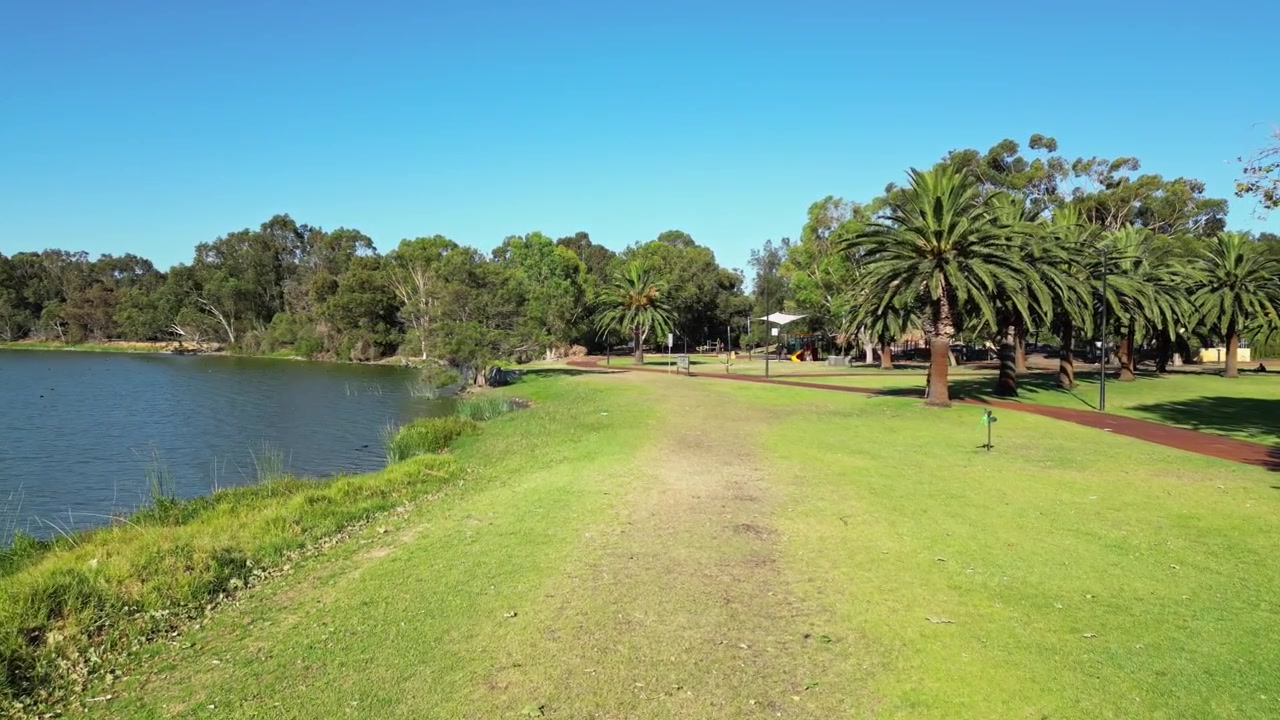 Vuelo bajo hacia adelante sobre un sendero de césped verde a lo largo de la orilla de un lago tranquilo con bancos de parque, palmeras y gente disfrutando de un parque urbano bajo un cielo azul claro