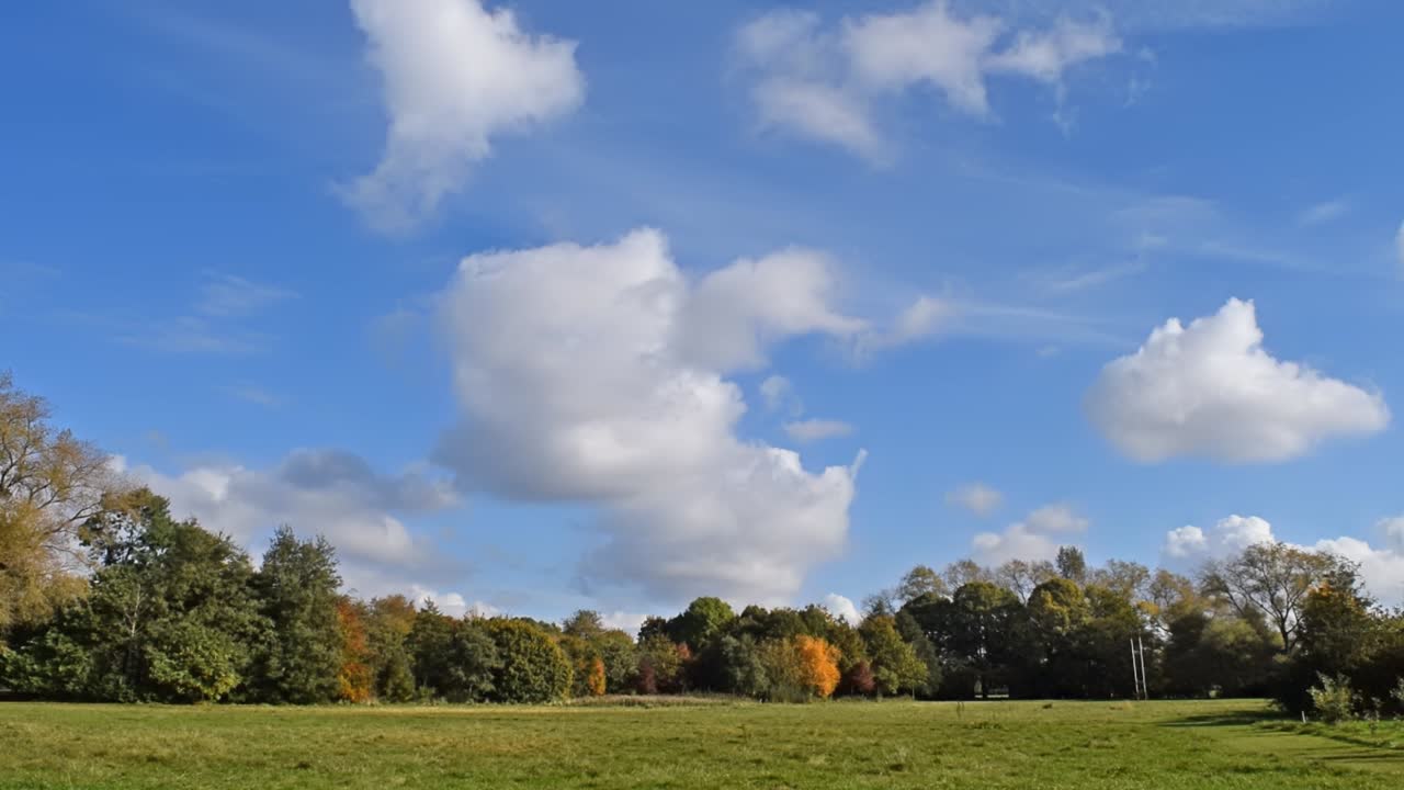 Sunny park with beautiful blue sky H. Fluffy clouds in a beautifully lit natural park scene. No time-lapse. Long clip