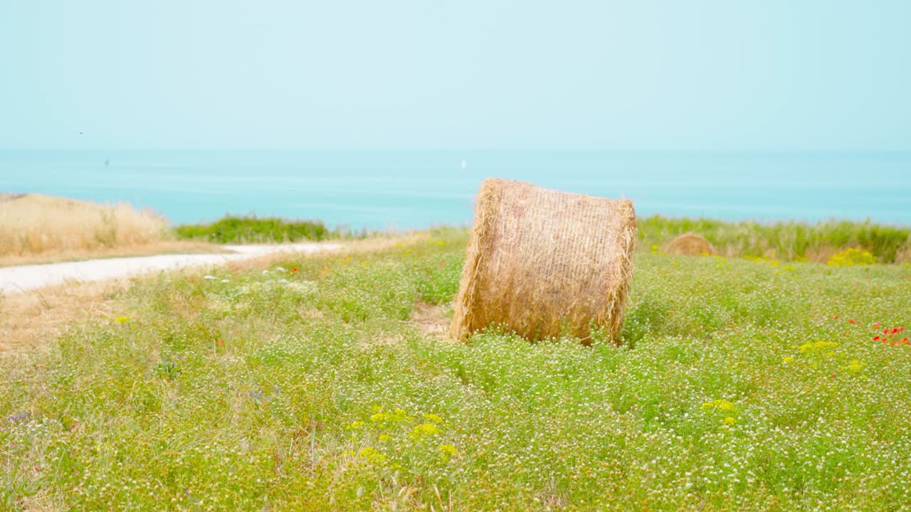 Hay ball on the green field in front of the sea
