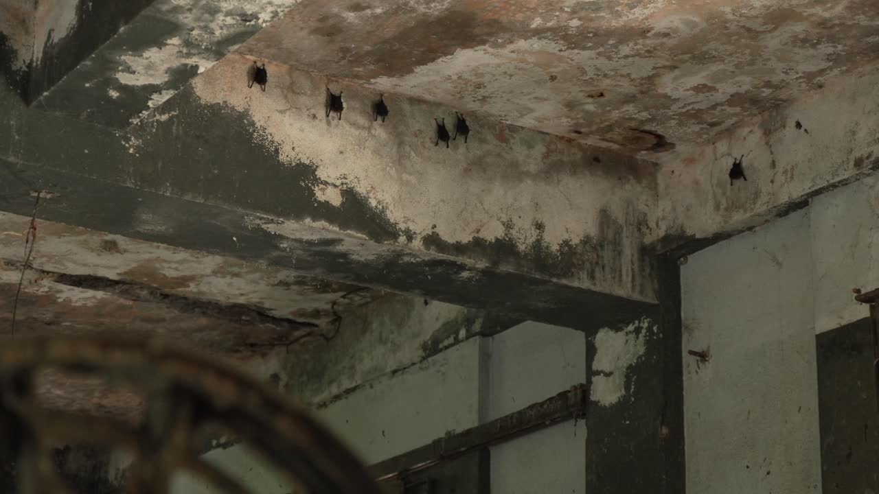 오래된 버려진 기차역 안에서 잠을 자는 박 ⁇ 들