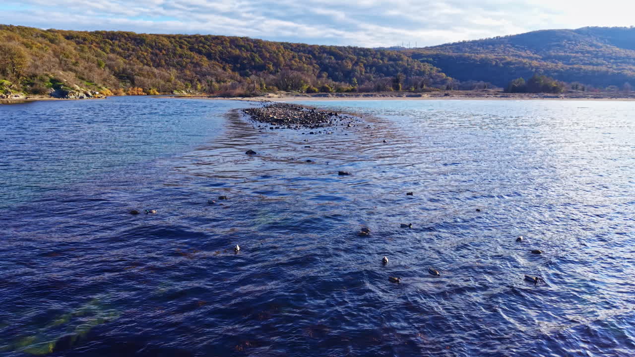 Fredelige vann reflekterer livlige åser under sen ettermiddagshimmel, med fugler som elegant glir over den rolige innsjøen