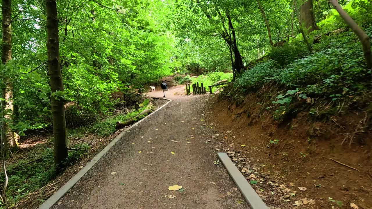 초록색 숲길을 가로질러 경치 좋은 산책