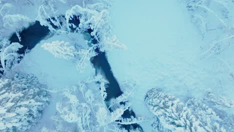 bird's eye view of winterly nature landscape in a river forest