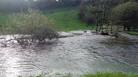 slow motion saturated flooded farmland stream burst its banks with submerged trees after storm weather