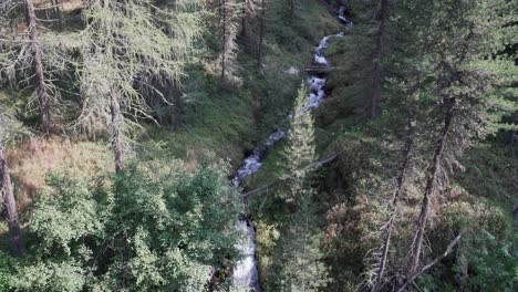 beautiful creek with small waterfalls in a forest
