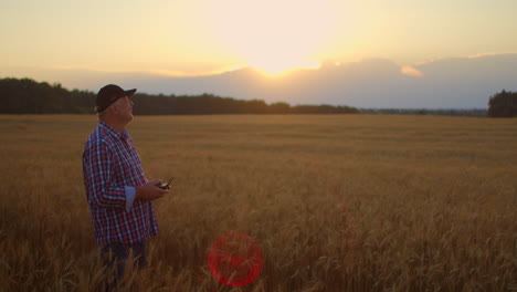 An-elderly-male-farmer-uses-a-drone-to-fly-over-a-wheat-field-at-sunset.-Modern-technologies-in-agriculture