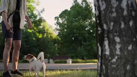 una mujer paseando a su jack russell terrier en el parque