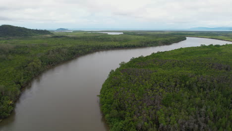 Aerial-View-of-Daintree-River-and-Dense-Rainforest,-Landscape-of-Queensland,-Australia