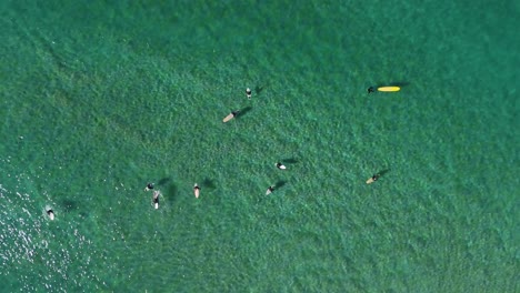 Top-down of surfers paddling and riding waves in turquoise water from above, textured ocean backdrop in green water