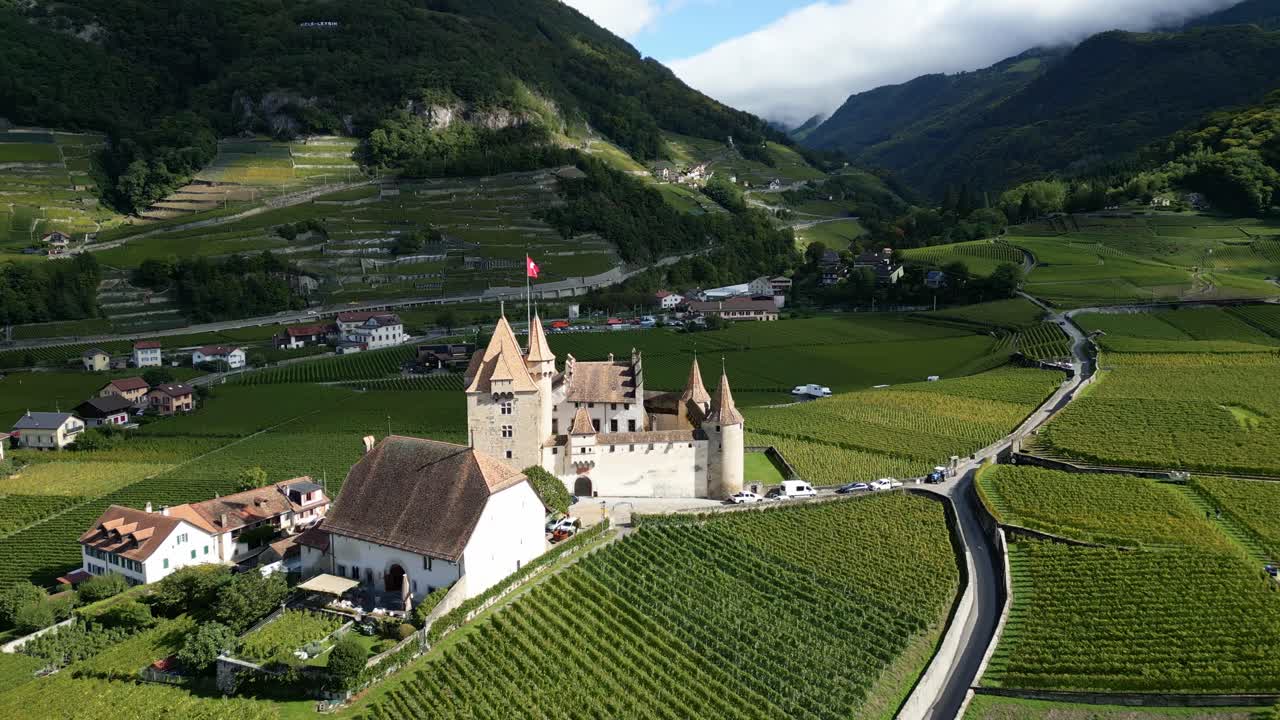 Aerial View of a Castle in a Swiss Vineyard