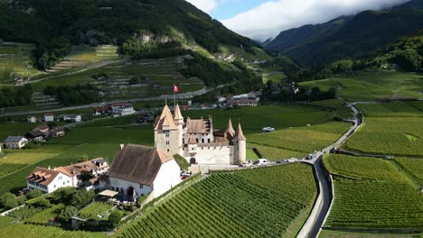 aerial view of a castle in a swiss vineyard