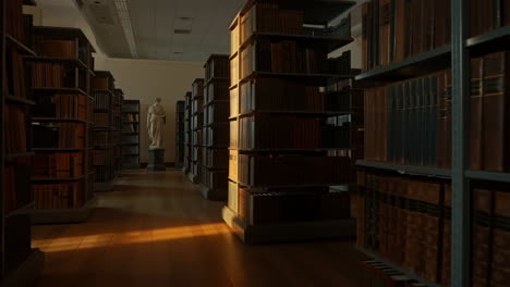 grand library interior with sunlit bookshelves and statue