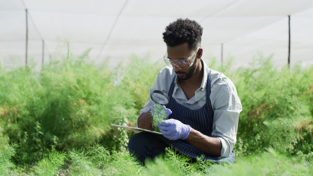 registra todo lo que encuentra.