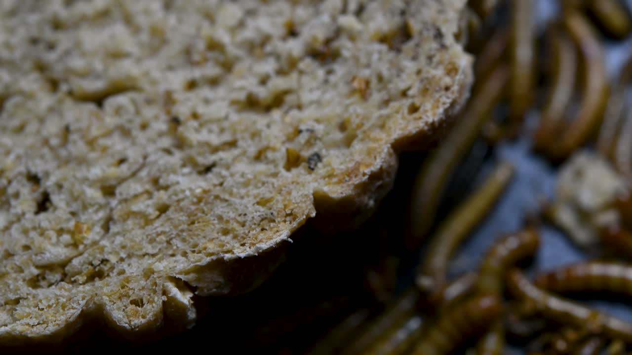 The Mealworm is a species of Darkling Beetle used to feed pets like fish, snakes, birds, and frogs