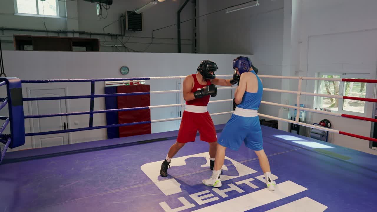 Boxer che fanno sparring sul ring