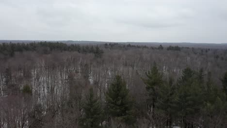 Nördlicher-Staat-New-York,-Der-über-Wald-4k-Antenne-Fliegt