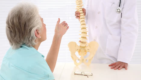 chiropractor explaining spine model to patient