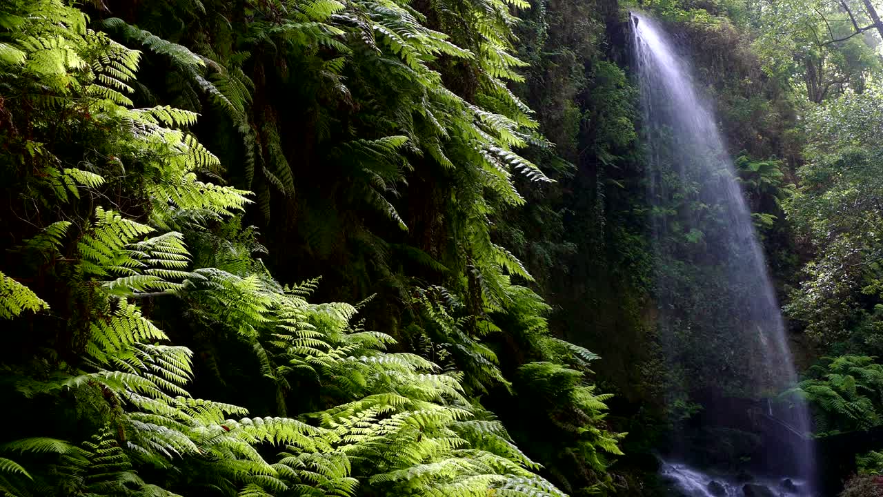Waterfall "The Lindens",in Island of La Palma, Canary Islands, Spain.