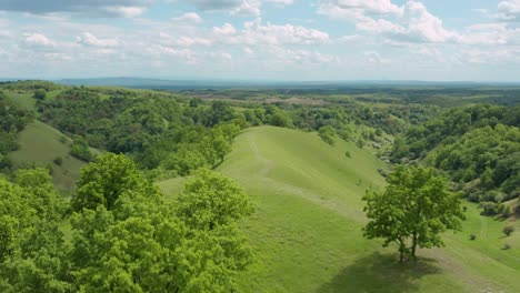 deliblatska pescara - deliblato sands , wide special reserve area in banat, sand dunes covered in grass and forest, vojvodina, serbia