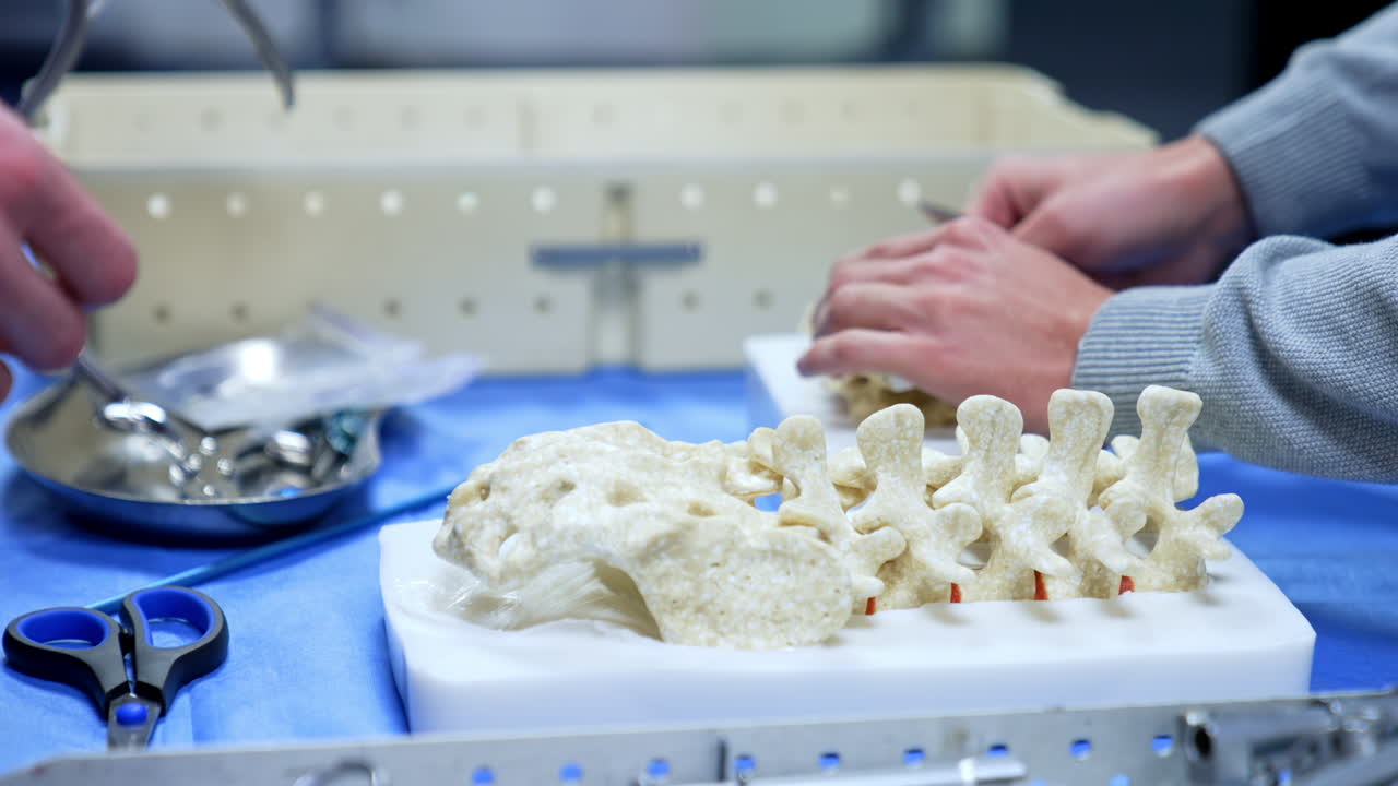 Model of the lower part of human spine. Close up. Male hands at backdrop choose and apply diverse metal tools and instruments for neurosurgery.