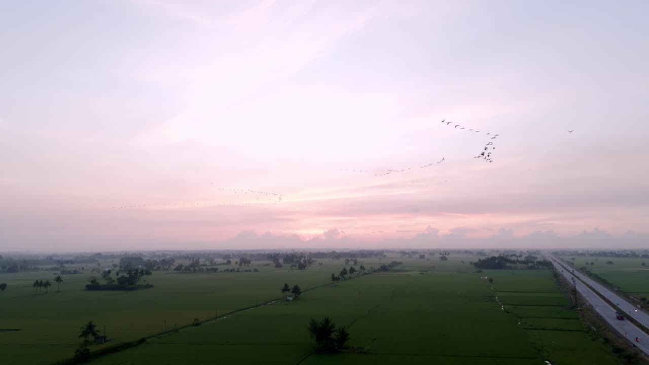 Breathtaking aerial view of green farmlands at sunset. Golden skies illuminate vast fields and scattered trees, creating a serene picturesque rural landscape. Perfect for tranquil scenes. Birds flying
