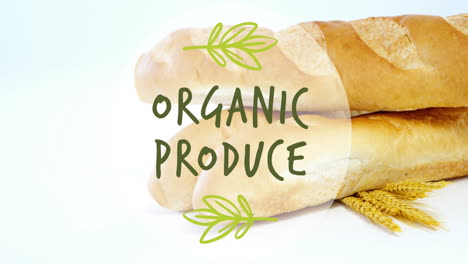 animación de un cartel de texto de productos orgánicos contra un primer plano de pan fresco y espigas de trigo