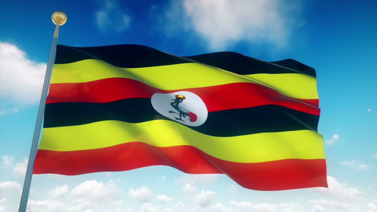 우간다의 발 4k 매우 상세한 loopable